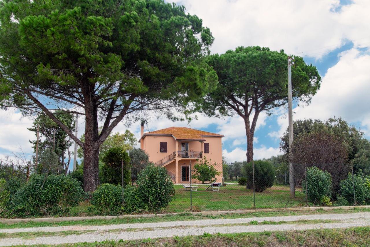 Villa Orta - Agriturismo Con Cucina Vegan, Plant-Based Farmhouse Riotorto Exterior foto