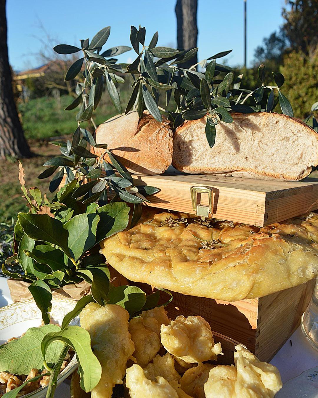 Villa Orta - Agriturismo Con Cucina Vegan, Plant-Based Farmhouse Riotorto Exterior foto